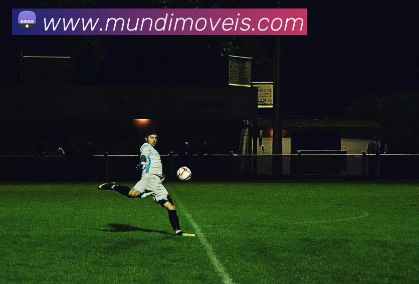 未来规划